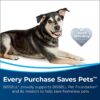 - Bissell TurboClean PowerBrush Pet Carpet Cleaner, 2987,Green/ Black -Live viewers eye icon - Image 2