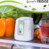 GreenTech Environmental pureAir FRIDGE - Food Shelf Life Extender, Odor Eliminator and Purifier - 24 Days Purification - Air Filter for Mini, Small & Large Refrigerator - Compact and Easy to Use - Image 3